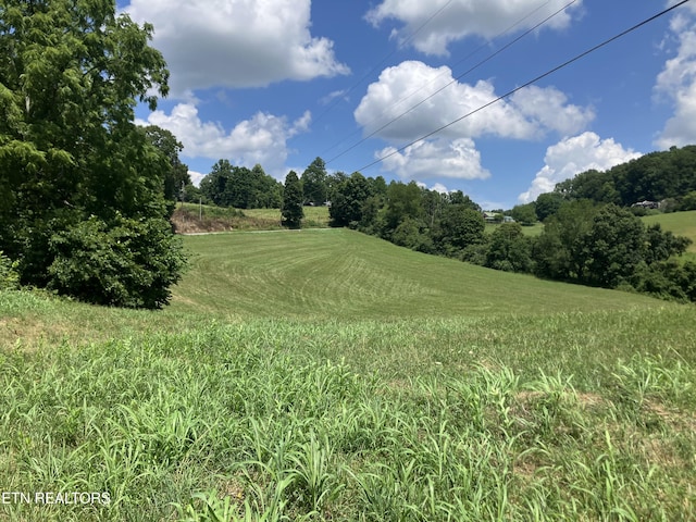 Harmon Rd, New Tazewell, TN 37825 - photo 3