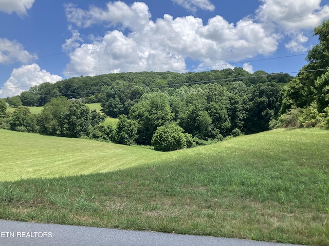 Harmon Rd, New Tazewell, TN 37825 - photo 4