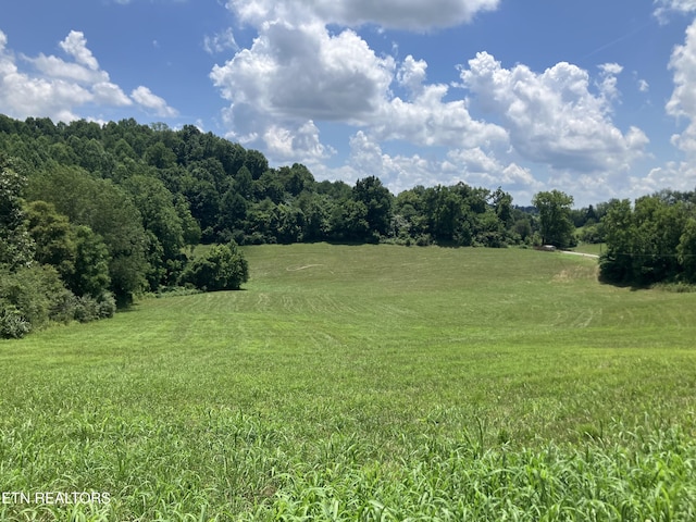 Harmon Rd, New Tazewell, TN 37825 - photo 5