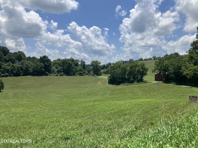 Harmon Rd, New Tazewell, TN 37825 - photo 6