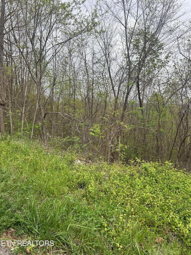 LOT8 Hickory Pointe Ln, Maynardville, TN 37807 - photo 1