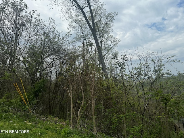 LOT8 Hickory Pointe Ln, Maynardville, TN 37807 - photo 2