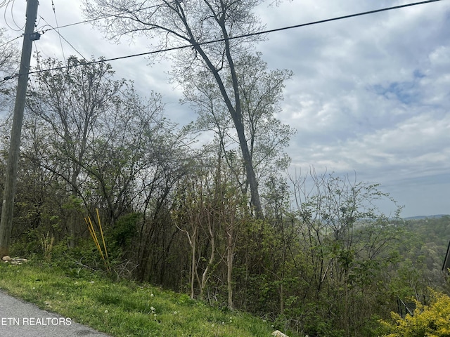 LOT8 Hickory Pointe Ln, Maynardville, TN 37807 - photo 3