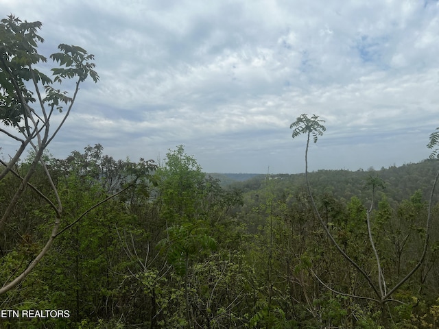 LOT8 Hickory Pointe Ln, Maynardville, TN 37807 - photo 4