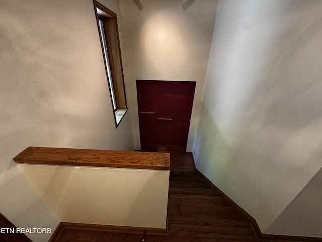 848 Cove Norris Rd, Caryville, TN 37714 - photo 20