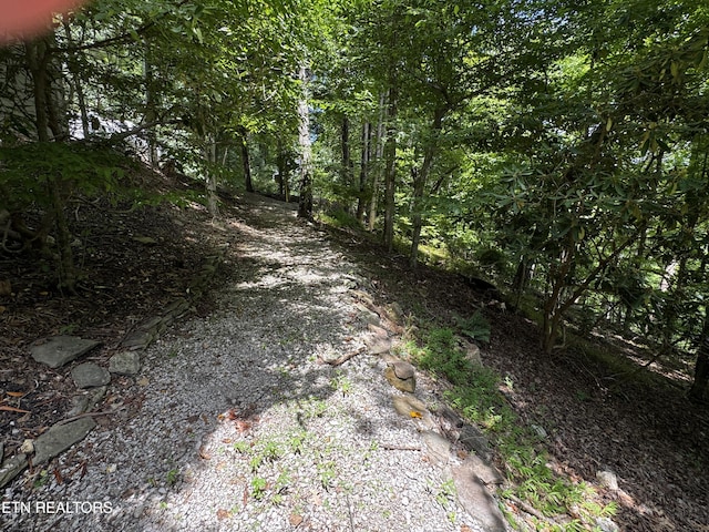848 Cove Norris Rd, Caryville, TN 37714 - photo 31
