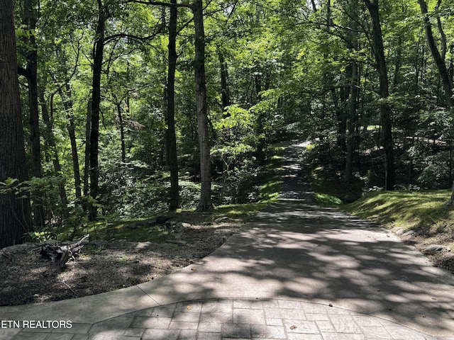848 Cove Norris Rd, Caryville, TN 37714 - photo 37