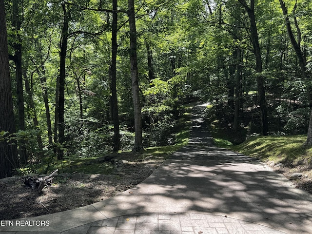 848 Cove Norris Rd, Caryville, TN 37714 - photo 38