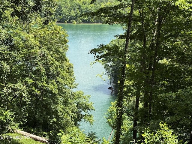 848 Cove Norris Rd, Caryville, TN 37714 - photo 42