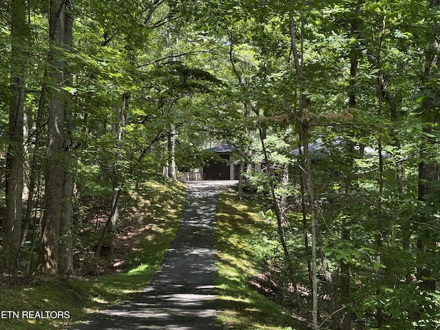 848 Cove Norris Rd, Caryville, TN 37714 - photo 44