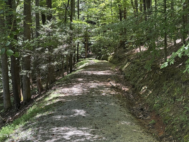 848 Cove Norris Rd, Caryville, TN 37714 - photo 45