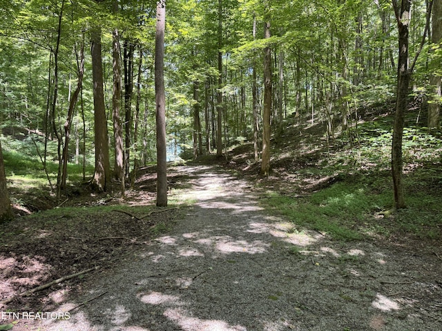 848 Cove Norris Rd, Caryville, TN 37714 - photo 46