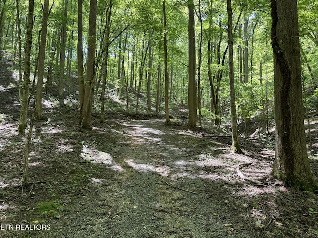 848 Cove Norris Rd, Caryville, TN 37714 - photo 47