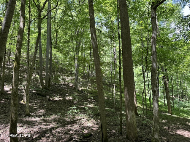 848 Cove Norris Rd, Caryville, TN 37714 - photo 49