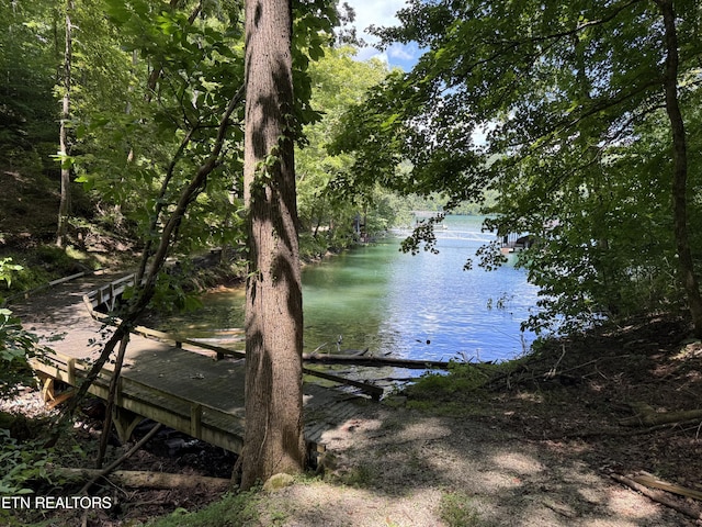 848 Cove Norris Rd, Caryville, TN 37714 - photo 50
