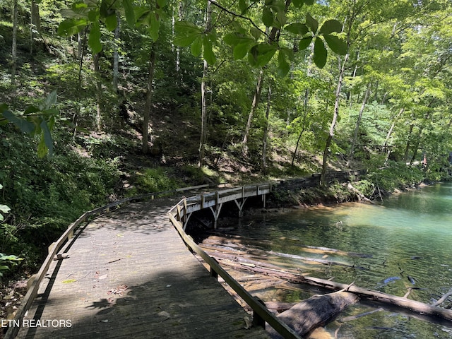 848 Cove Norris Rd, Caryville, TN 37714 - photo 51