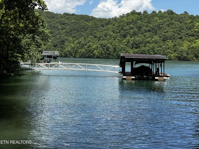 848 Cove Norris Rd, Caryville, TN 37714 - photo 52