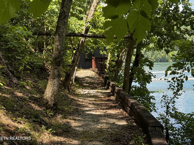 848 Cove Norris Rd, Caryville, TN 37714 - photo 53