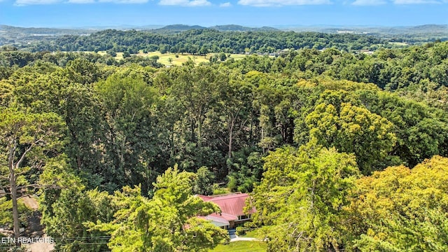 5116 Sunset Rd, Knoxville, TN 37914 - photo 4