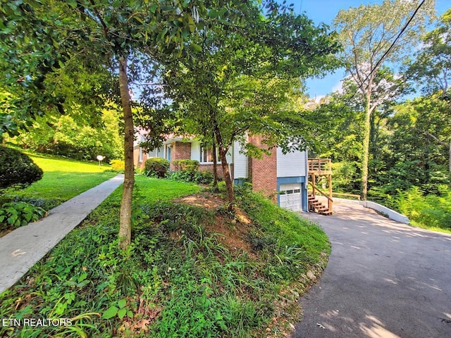 5116 Sunset Rd, Knoxville, TN 37914 - photo 5