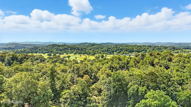 5116 Sunset Rd, Knoxville, TN 37914 - photo 33