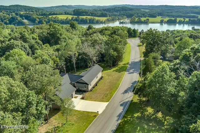 10001 Scenic View Dr, Loudon, TN 37774 - photo 52