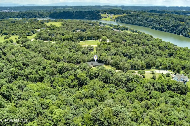 10001 Scenic View Dr, Loudon, TN 37774 - photo 53