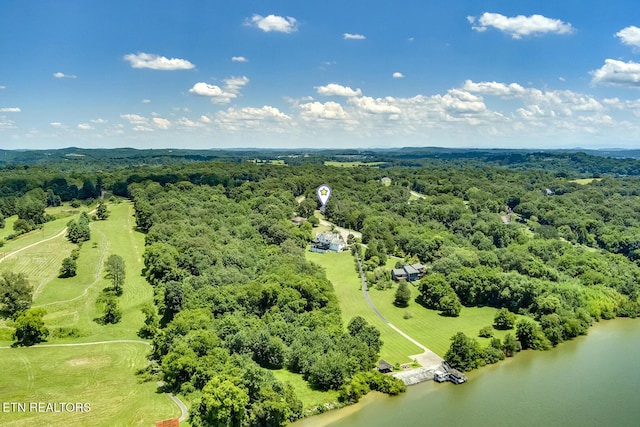 10001 Scenic View Dr, Loudon, TN 37774 - photo 54