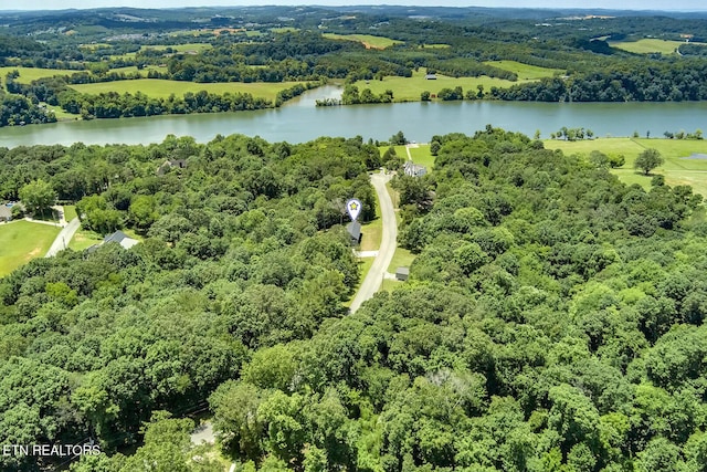 10001 Scenic View Dr, Loudon, TN 37774 - photo 55