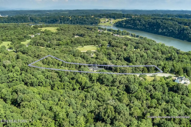 10001 Scenic View Dr, Loudon, TN 37774 - photo 57