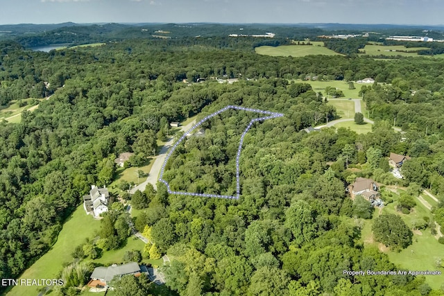 10001 Scenic View Dr, Loudon, TN 37774 - photo 58