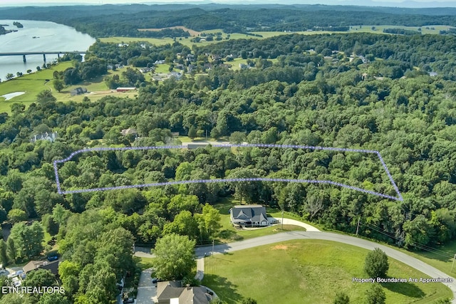 10001 Scenic View Dr, Loudon, TN 37774 - photo 59