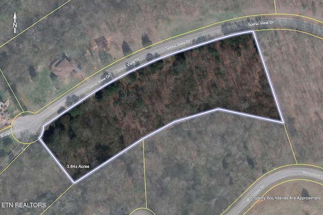 10001 Scenic View Dr, Loudon, TN 37774 - photo 60