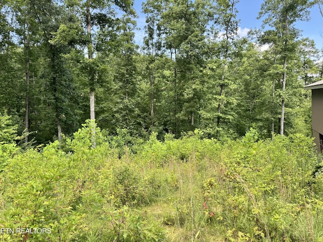 1291 Buck Ln, Crawford, TN 38554 - photo 5
