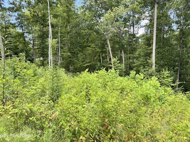1291 Buck Ln, Crawford, TN 38554 - photo 6