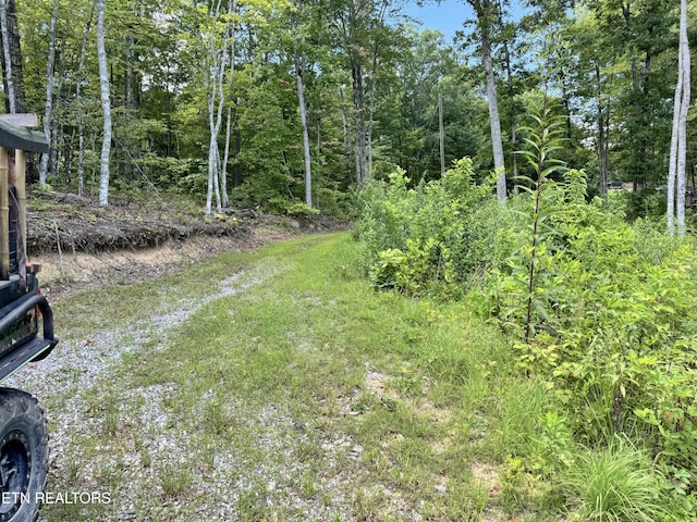 1291 Buck Ln, Crawford, TN 38554 - photo 7