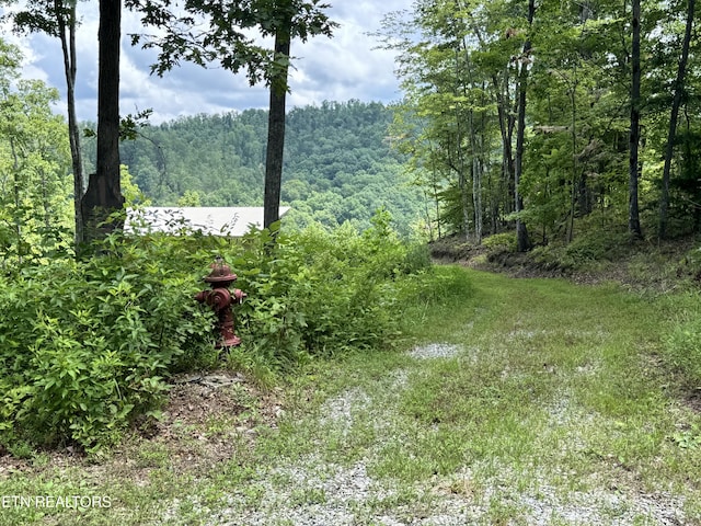 1291 Buck Ln, Crawford, TN 38554 - photo 9