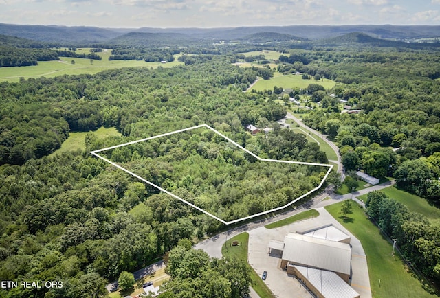 6.3AC Bone Cave Rd, Rock Island, TN 38581 - photo 6