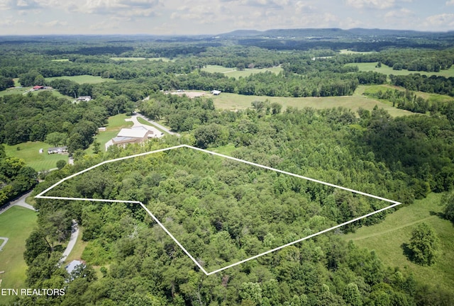 6.3AC Bone Cave Rd, Rock Island, TN 38581 - photo 7