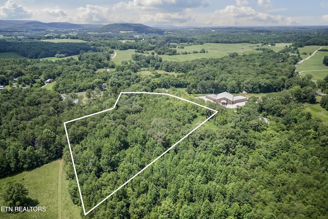 6.3AC Bone Cave Rd, Rock Island, TN 38581 - photo 8