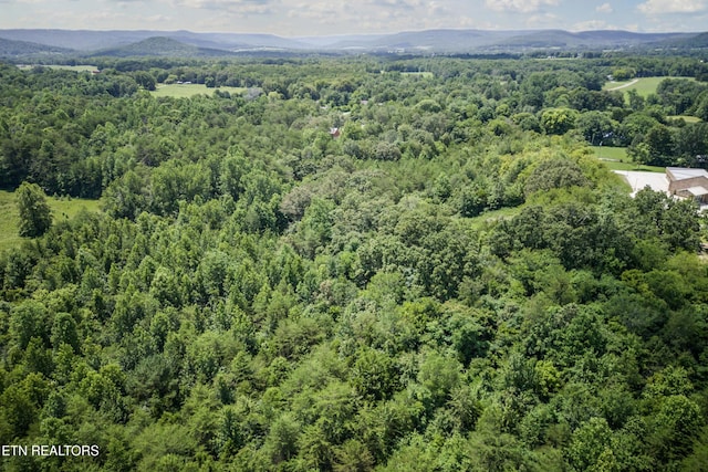 6.3AC Bone Cave Rd, Rock Island, TN 38581 - photo 12