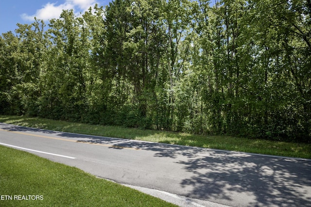 6.3AC Bone Cave Rd, Rock Island, TN 38581 - photo 3