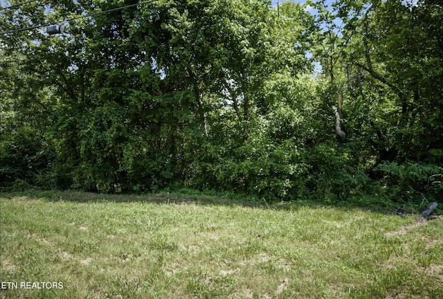6.3AC Bone Cave Rd, Rock Island, TN 38581 - photo 4