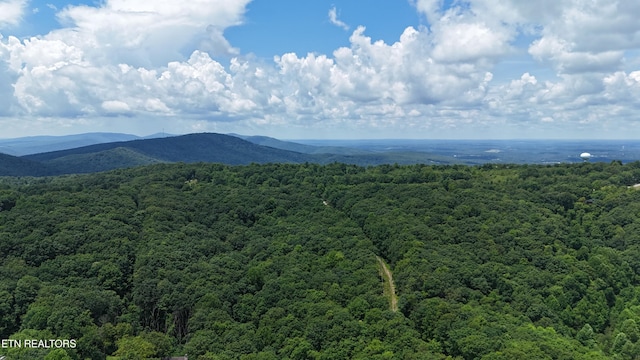 291 Moytoy Rd Unit 206, Crab Orchard, TN 37723 - photo 14