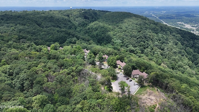 291 Moytoy Rd Unit 206, Crab Orchard, TN 37723 - photo 15