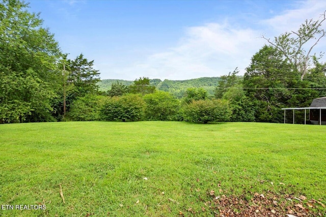 372 Sharp Acres Rd, Jacksboro, TN 37757 - photo 31