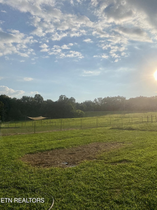 775 Genesis Rd, Lancing, TN 37770 - photo 4