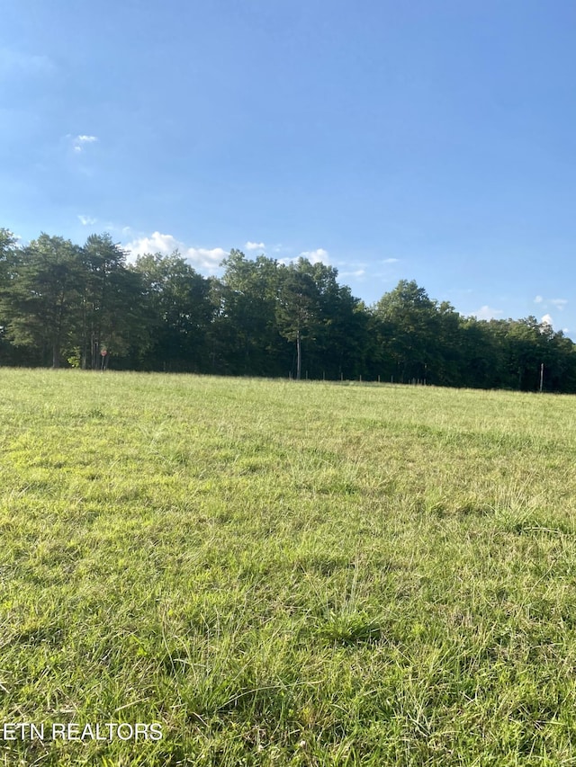 775 Genesis Rd, Lancing, TN 37770 - photo 6