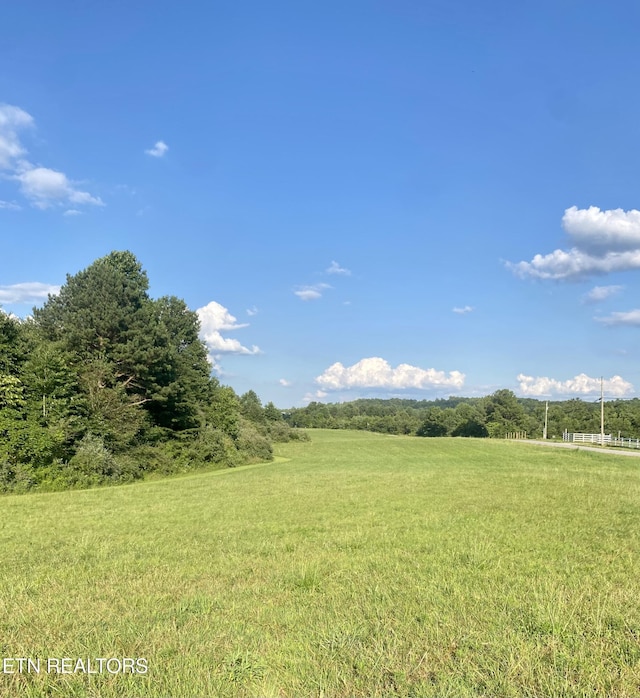 775 Genesis Rd, Lancing, TN 37770 - photo 8