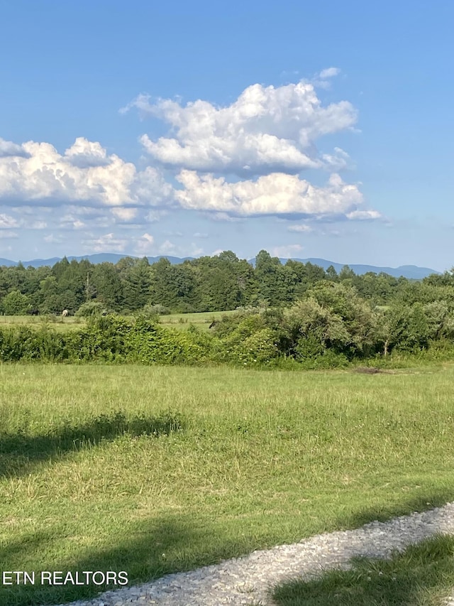 775 Genesis Rd, Lancing, TN 37770 - photo 9